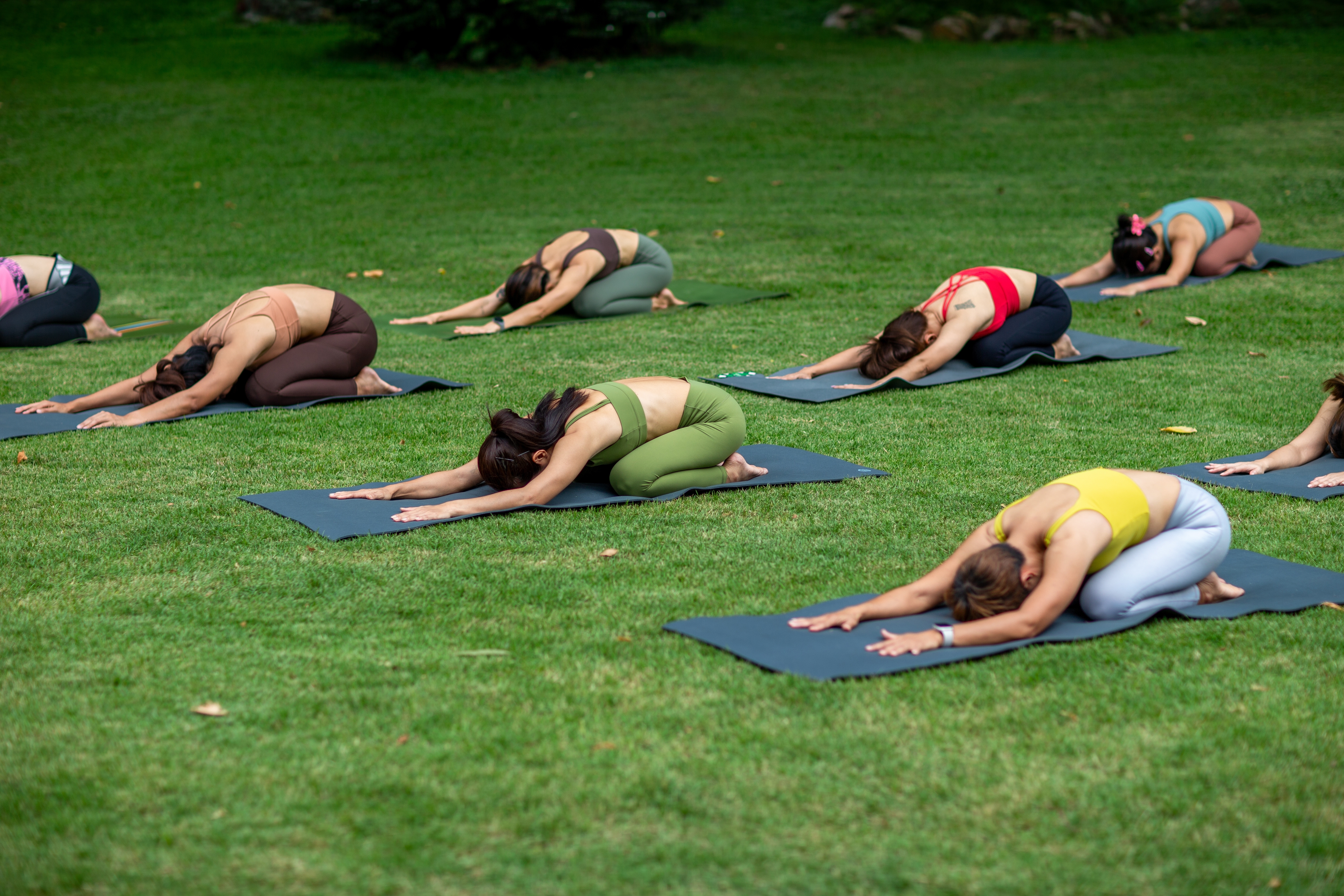 A group outdoor yoga class on a grassy lawn, participants resting in child's pose on their mats.